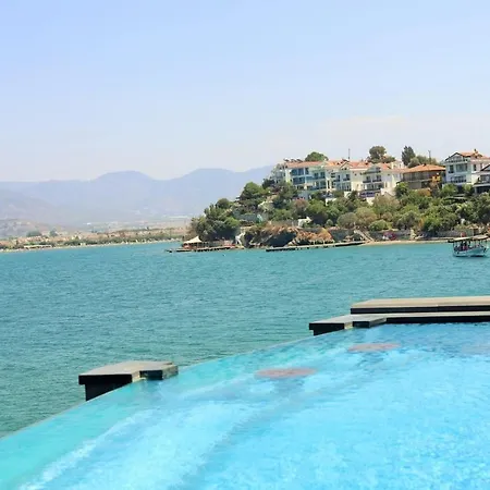 Casa Blanca فيلة *